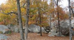 Horse Pens 40